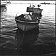 Isle of Procida, Napoli 2001